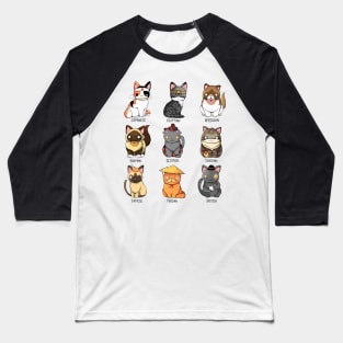 Kitten World Baseball T-Shirt